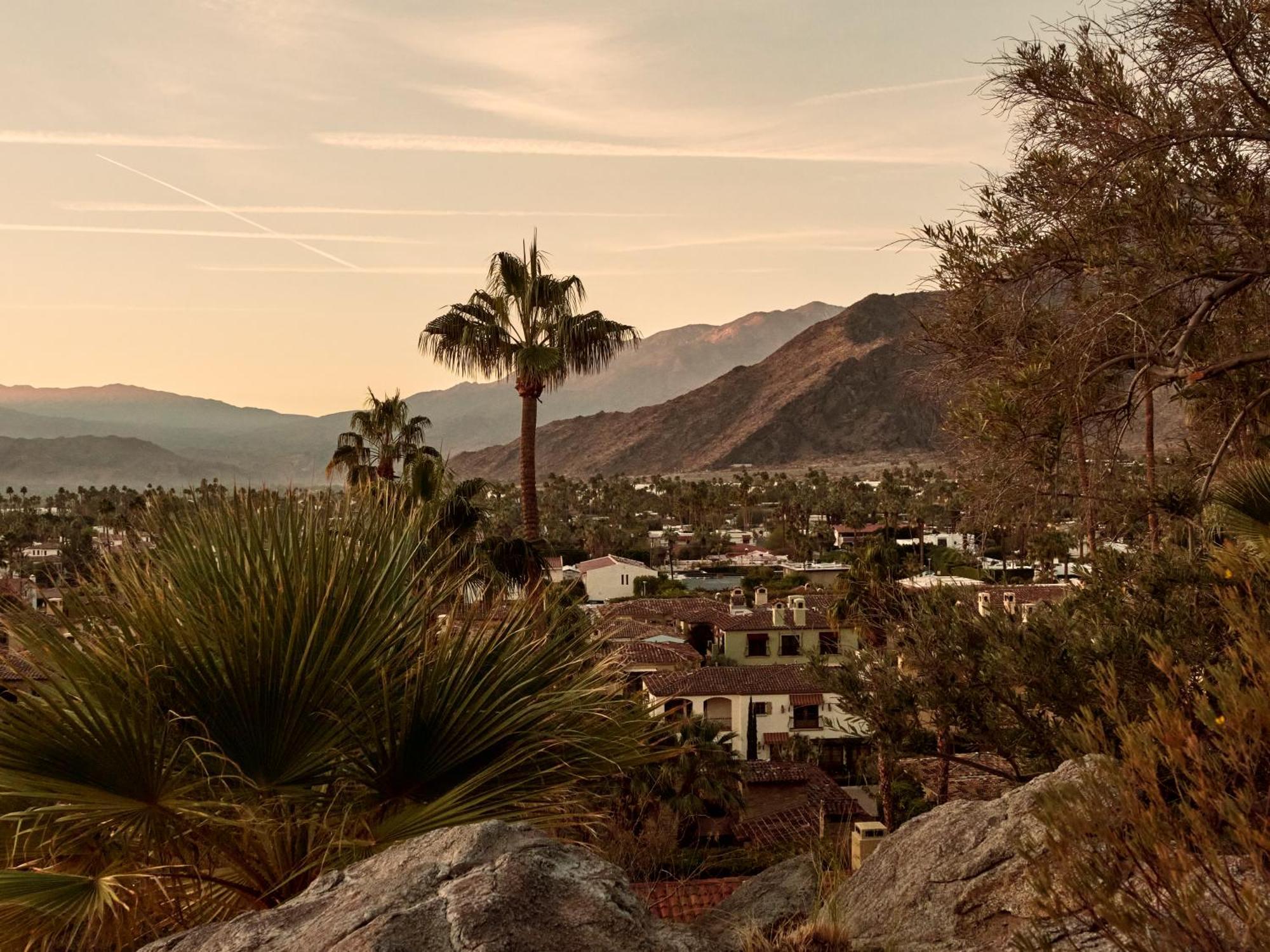 The Willows Palm Springs Kültér fotó