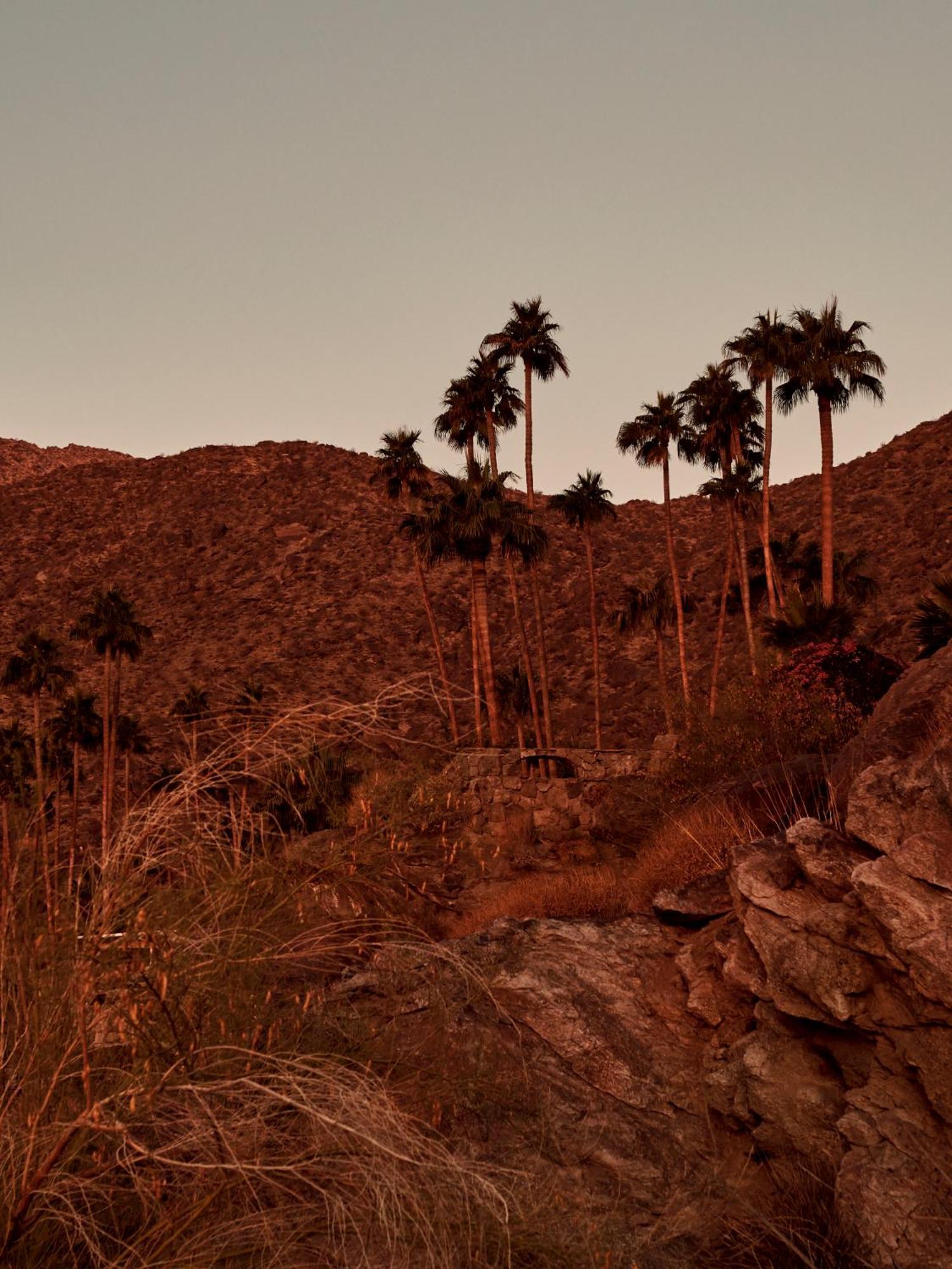 The Willows Palm Springs Kültér fotó