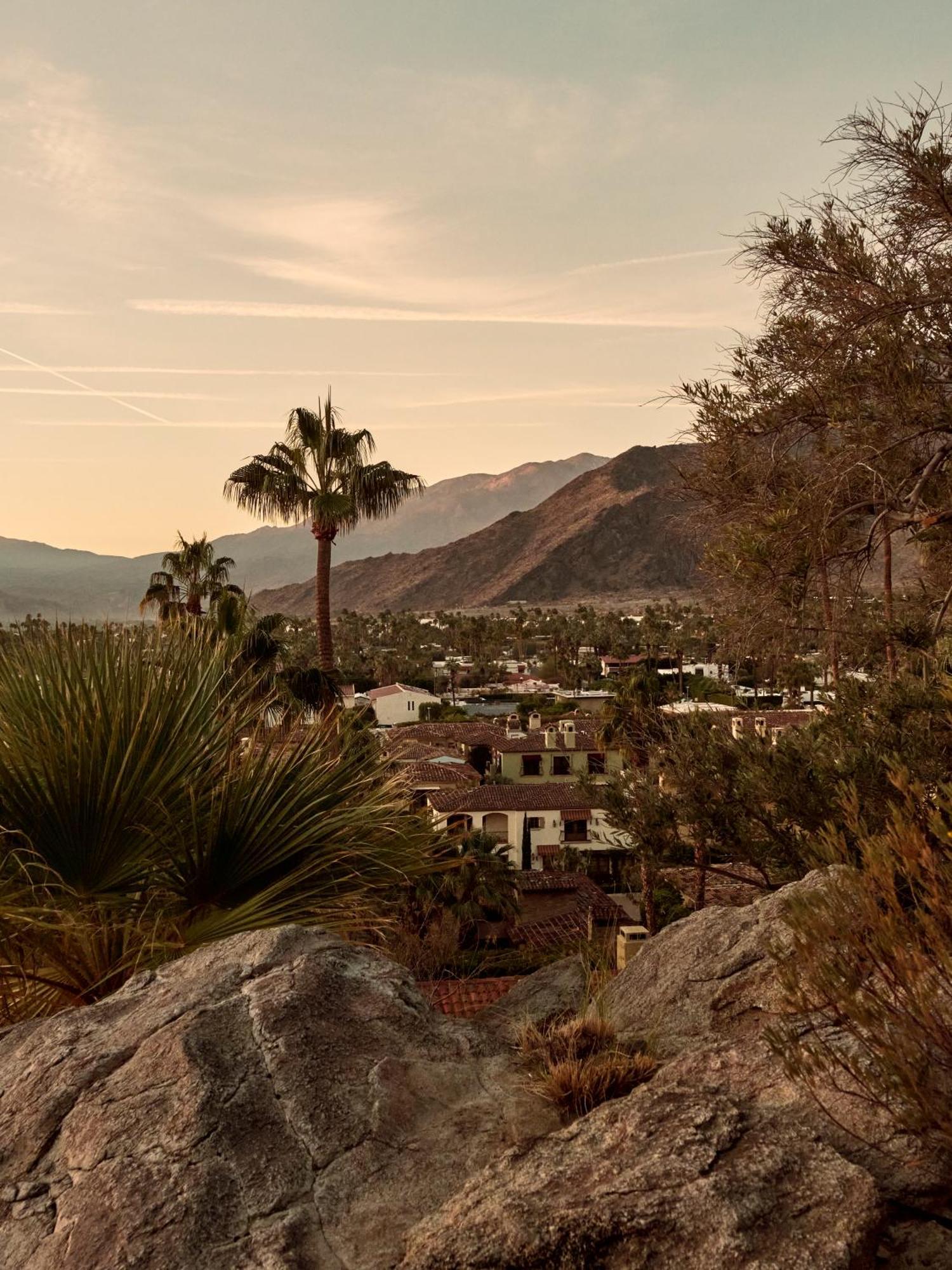 The Willows Palm Springs Kültér fotó